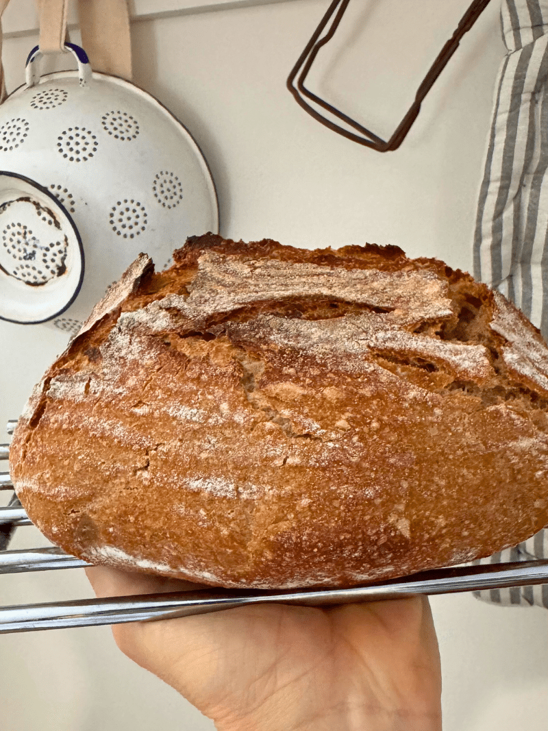 Miche au levain « 100 % farine blé intégrale »