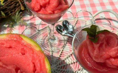 sorbet au melon d’eau